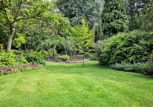 Optimiser l'expérience du jardin à Thiviers